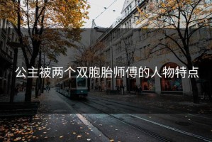 公主被两个双胞胎师傅的人物特点
