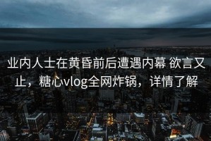 业内人士在黄昏前后遭遇内幕 欲言又止，糖心vlog全网炸锅，详情了解