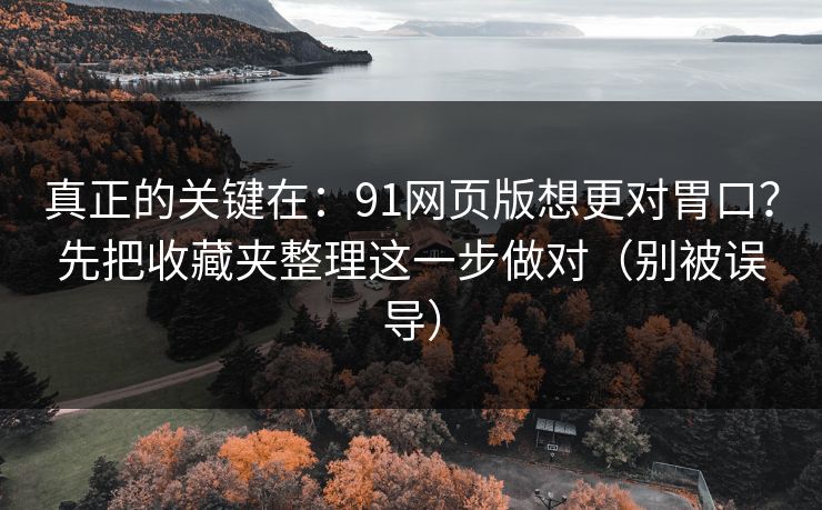 真正的关键在：91网页版想更对胃口？先把收藏夹整理这一步做对（别被误导）